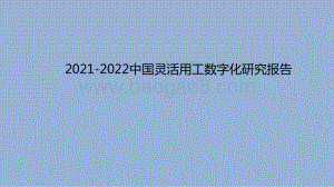 2021-2022中国灵活用工数字化研究报告.pdf