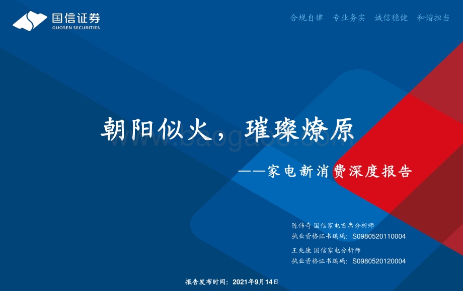 家电新消费深度报告：朝阳似火璀璨燎原.pdf_第1页