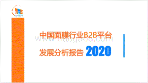 2020中国面膜行业B2B平台发展分析报告.pdf