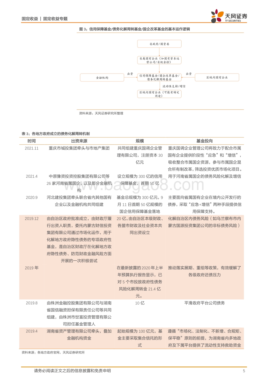 从“国调企业”看地方如何应对债务压力？.pdf_第5页
