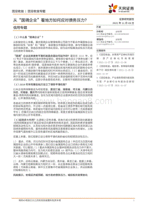 从“国调企业”看地方如何应对债务压力？.pdf