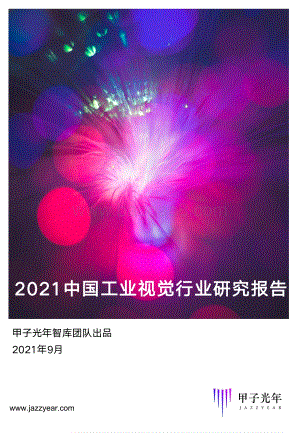2021中国工业视觉行业研究报告.pdf