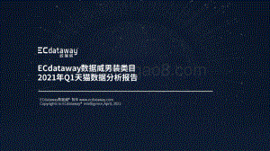 男装类目2021年Q1天猫数据分析报告.pdf