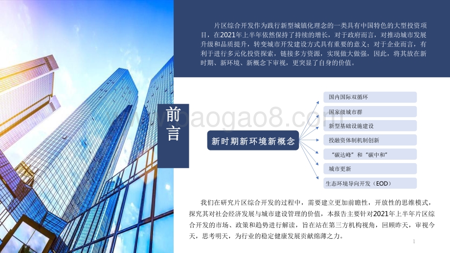 2021-2022片区综合开发分析报告.pdf_第2页