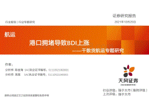 干散货航运专题研究：港口拥堵导致BDI上涨.pdf