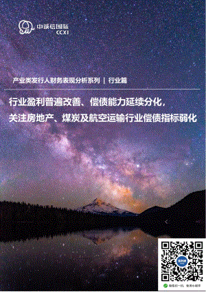 产业类发行人2021年半年度财务表现分析（行业篇）.pdf