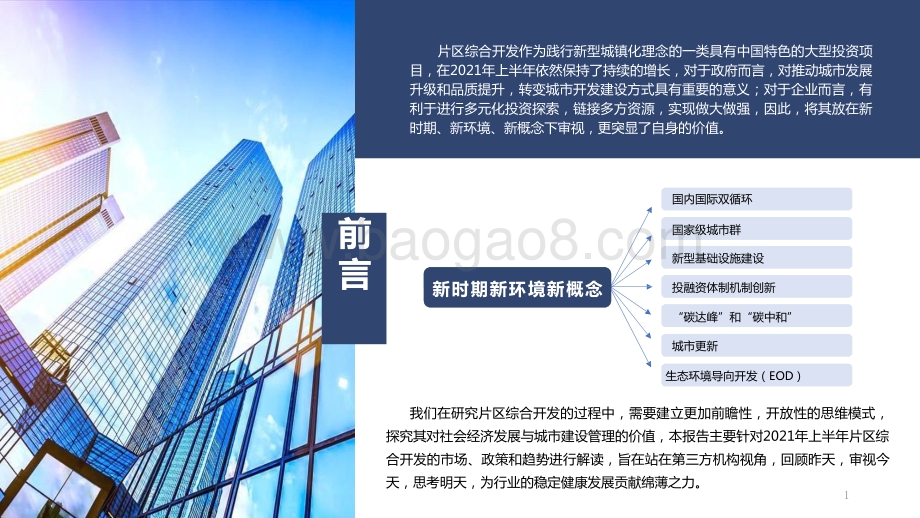 2021-2022片区综合开发分析报告.pptx_第2页