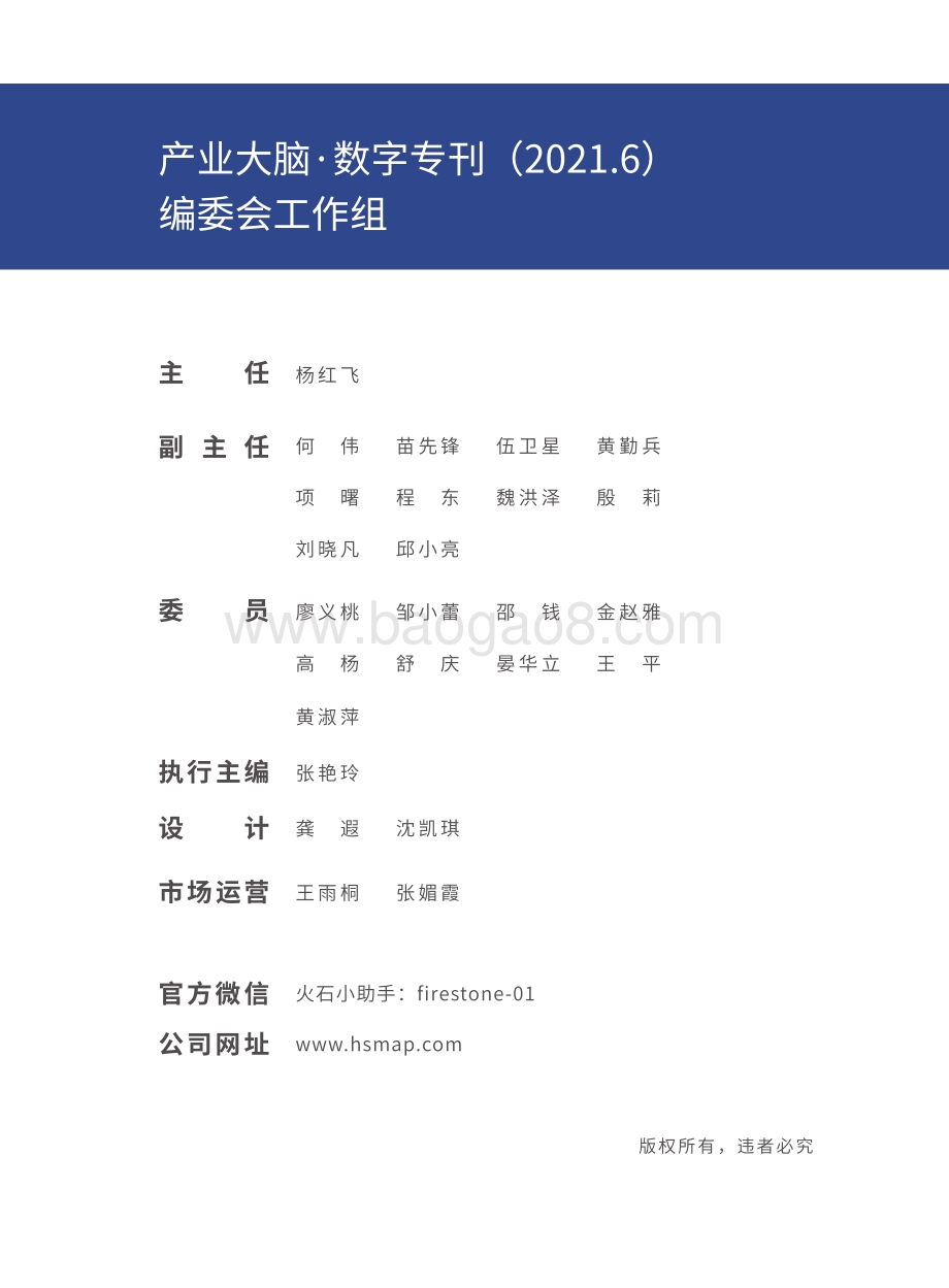 2021年6月产业大脑数字专刊.pdf_第2页