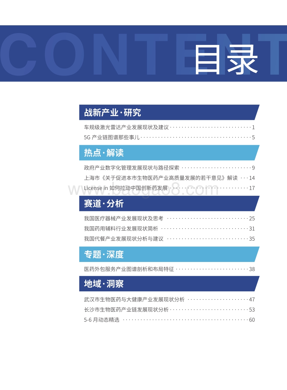 2021年6月产业大脑数字专刊.pdf_第3页
