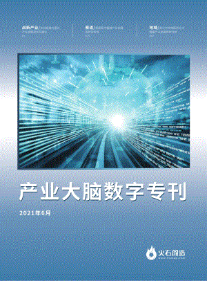 2021年6月产业大脑数字专刊.pdf