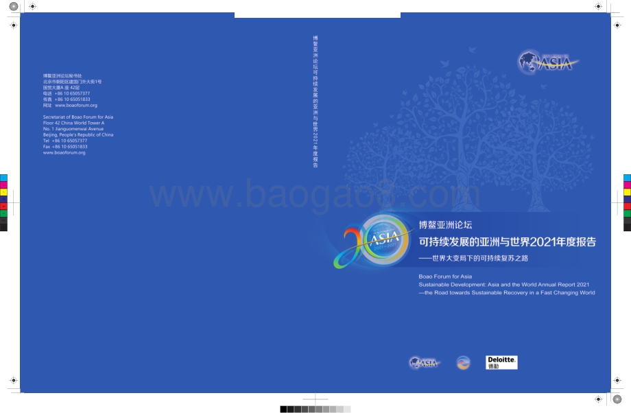 可持续发展的亚洲与世界2021年度报告：世界大变局下的可持续复苏之路.pdf_第1页