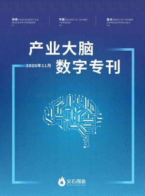 2020年11月产业大脑数字专刊.pdf