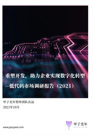 2021低代码市场调研报告.pdf