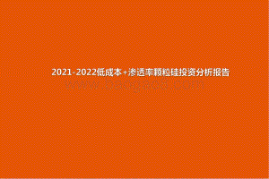 2021-2022低成本+渗透率颗粒硅投资分析报告.pdf