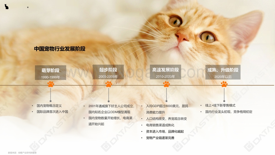 萌宠经济趋势观察.pdf_第3页