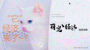 萌宠经济趋势观察.pdf