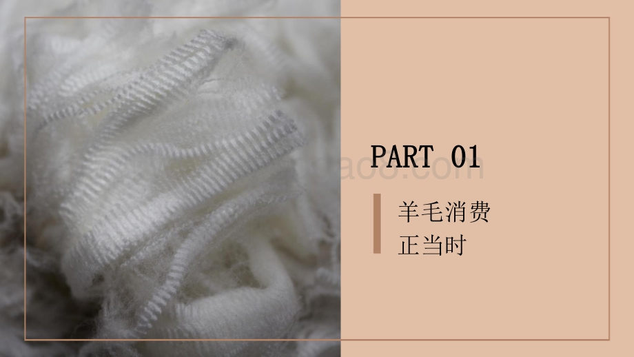 2021-2022羊毛材质消费趋势洞察报告.pptx_第3页