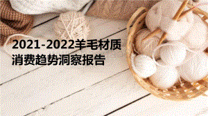 2021-2022羊毛材质消费趋势洞察报告.pptx