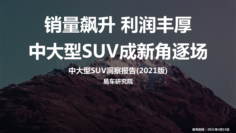 2021版中大型SUV洞察报告.pdf_第1页