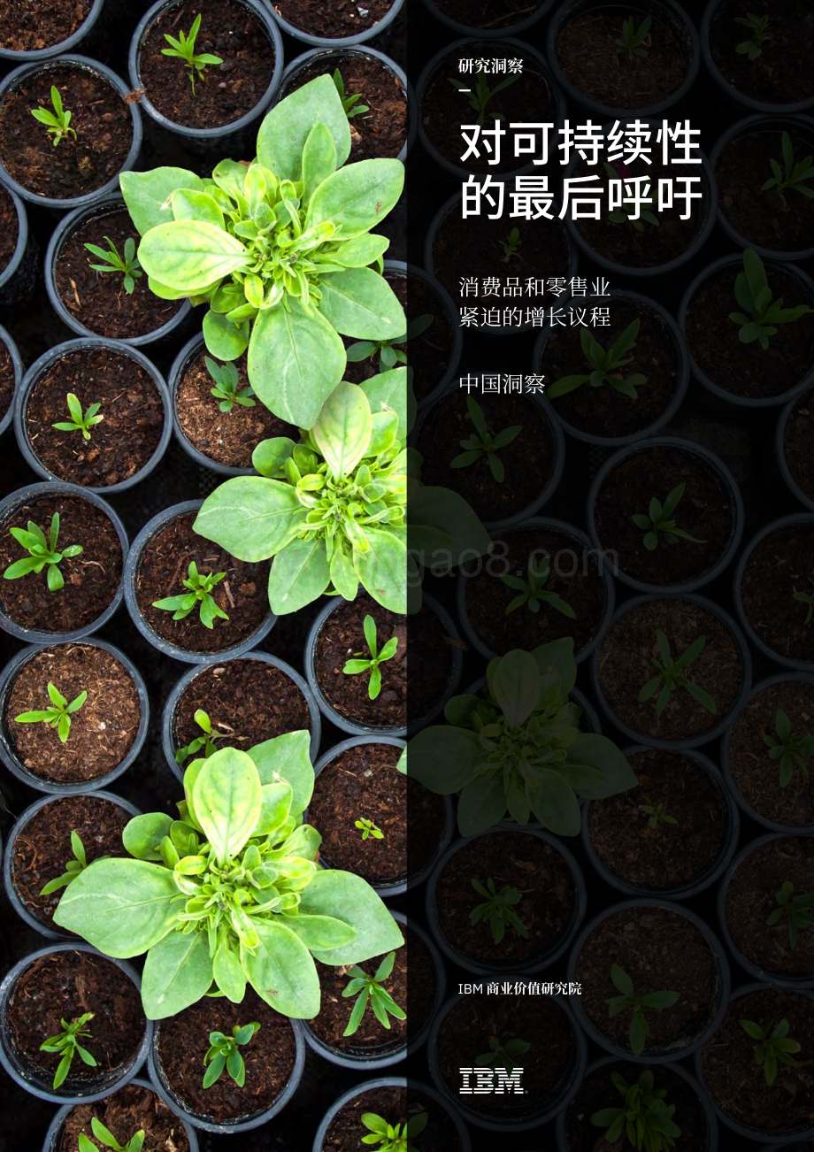对可持续性的最后呼吁：消费品和零售业紧迫的增长议程.pdf_第1页