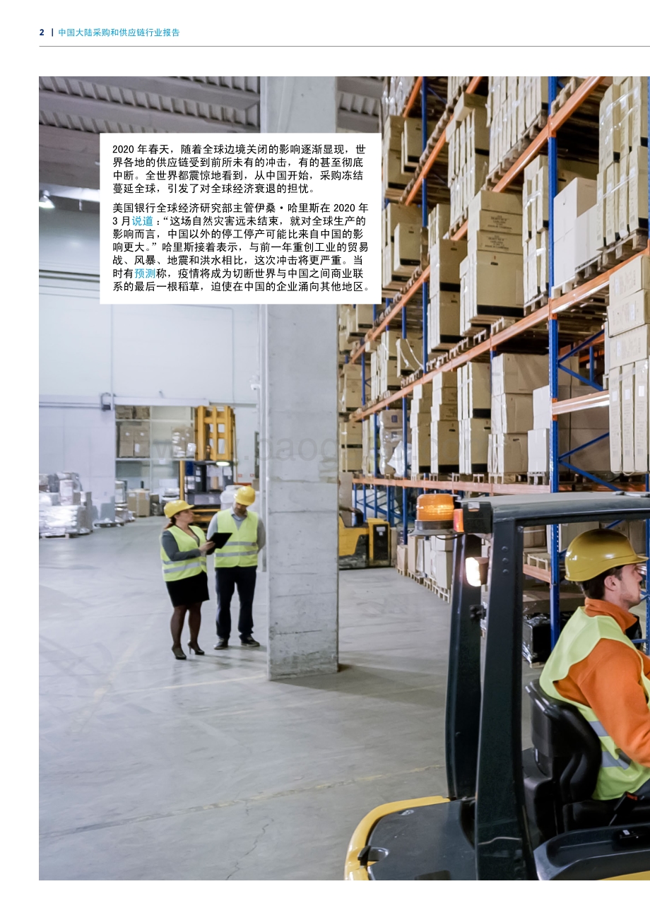 中国大陆采购和供应链行业报告.pdf_第2页