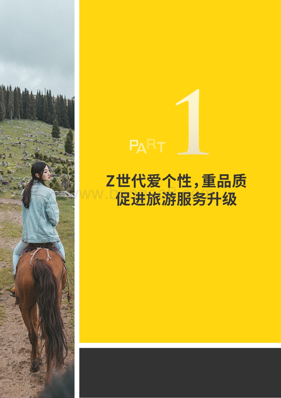 年轻人品质旅游报告.pdf_第2页