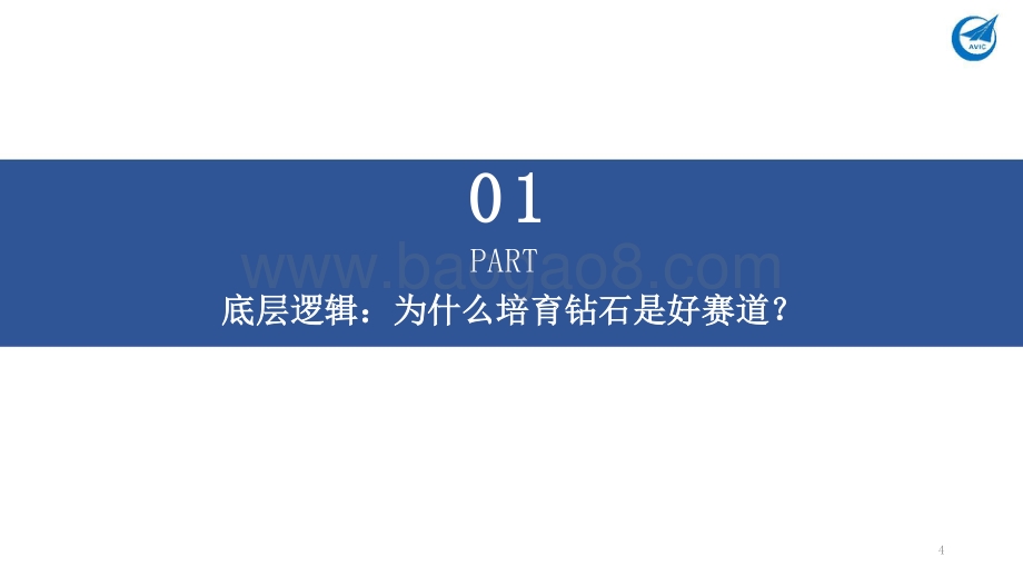 2021-2022培育钻石行业研究报告.pptx_第4页