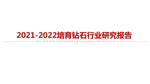 2021-2022培育钻石行业研究报告.pptx