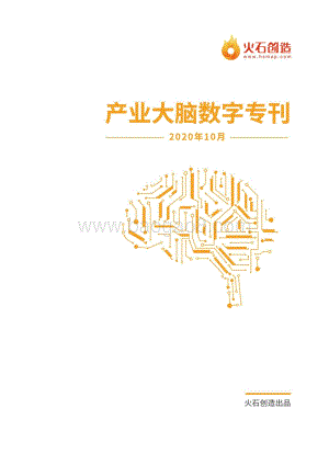 2020年10月产业大脑数字专刊.pdf