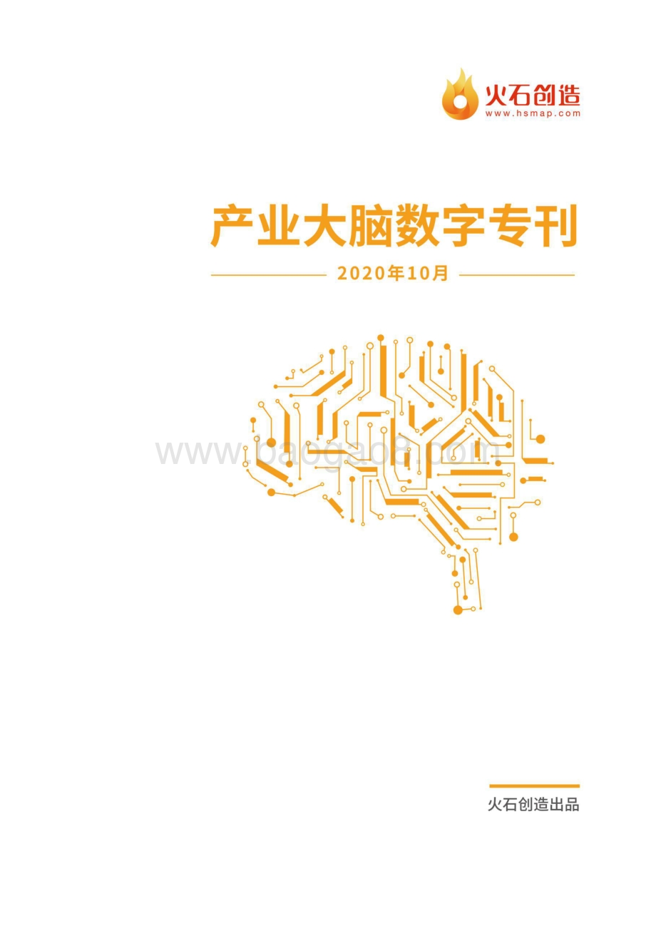 2020年10月产业大脑数字专刊.pdf_第1页