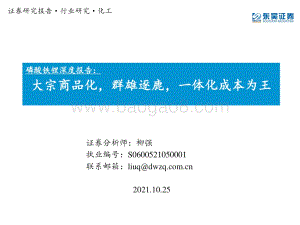 磷酸铁锂深度报告：大宗商品化群雄逐鹿一体化成本为王.pdf