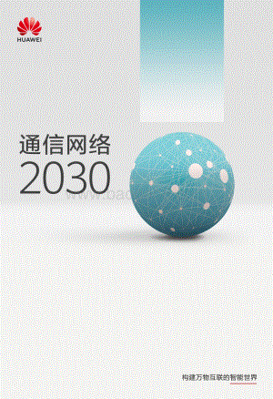 通信网络2030.pdf