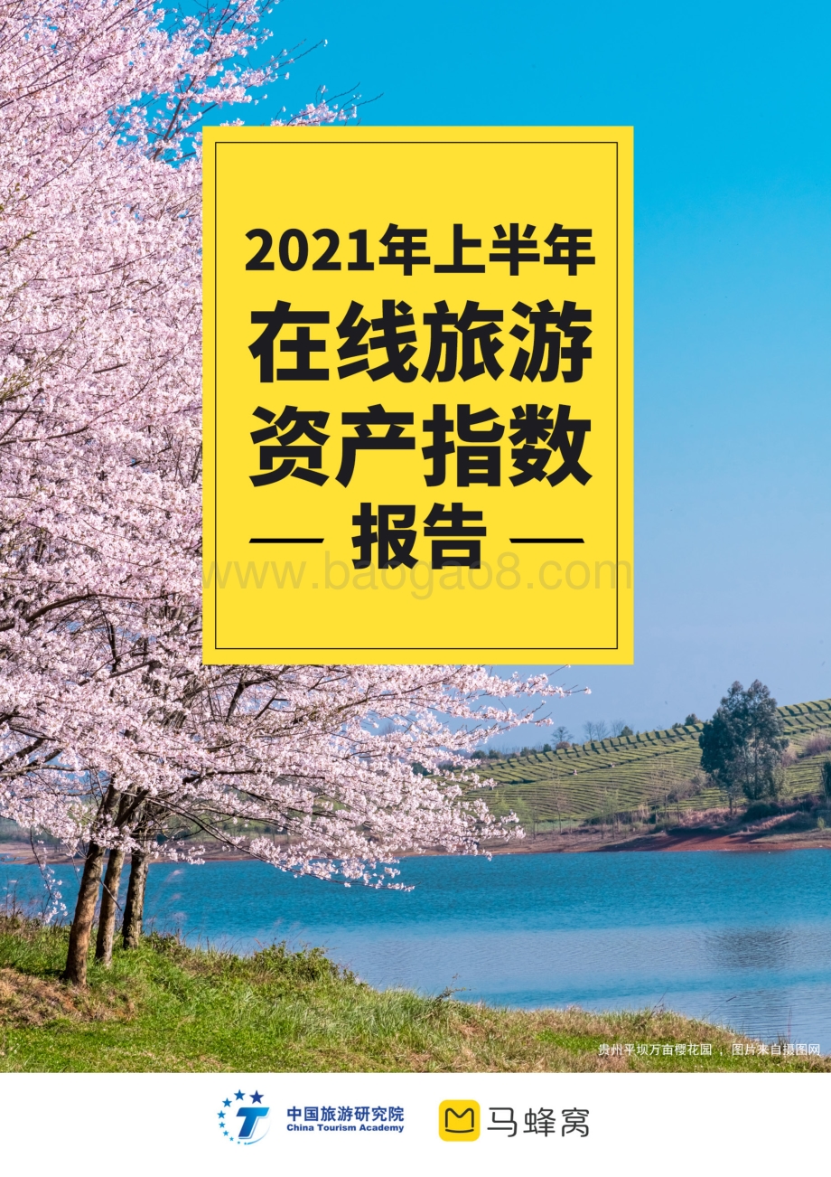 2021年上半年在线旅游资产指数报告.pdf_第1页