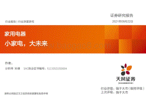 小家电大未来.pdf