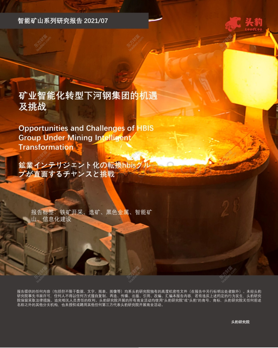 智能矿山系列研究报告：矿业智能化转型下河钢集团的机遇及挑战.pdf_第1页