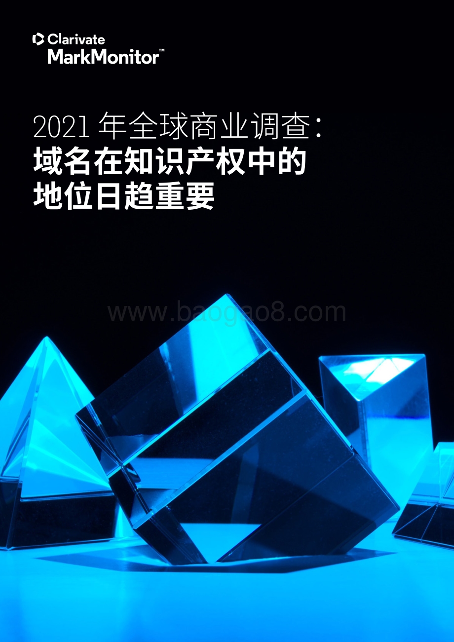 2021年全球商业调查：域名在知识产权中的地位日趋重要.pdf_第1页