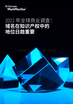 2021年全球商业调查：域名在知识产权中的地位日趋重要.pdf