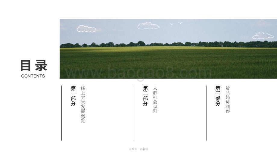 2021-2022大米消费行业研究报告.pdf_第2页