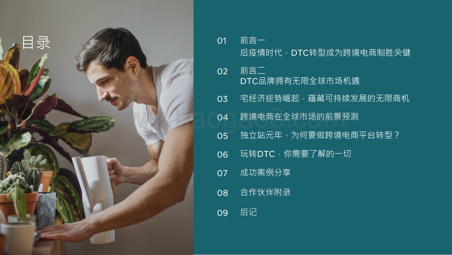 利用DTC制胜品牌出海玩转全球跨境宅经济.pdf_第2页