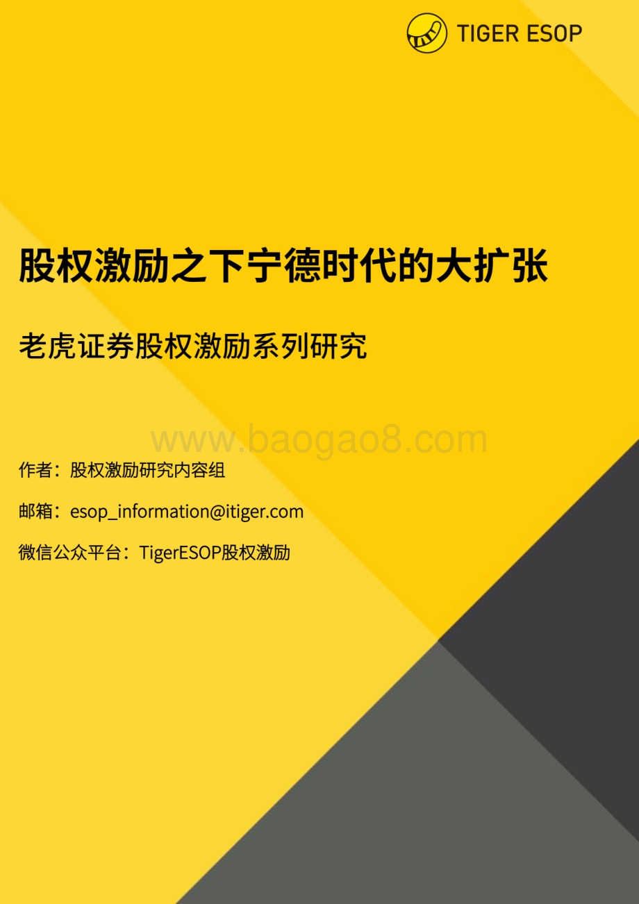 股权激励系列研究：股权激励之下宁德时代的大扩张.pdf_第1页