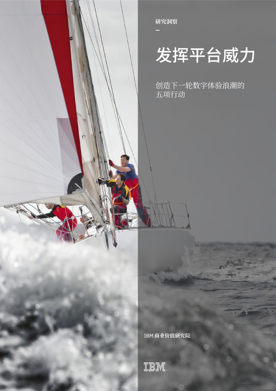 发挥平台威力：创造下一轮数字体验浪潮的五项行动.pdf_第1页