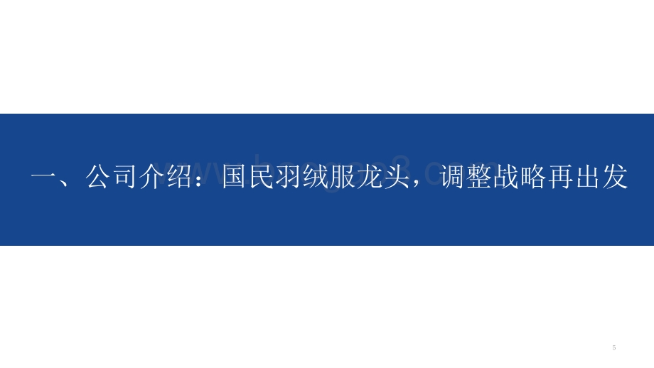 2021-2022过火羽绒服市场零售制造智能升级分析报告.pptx_第5页