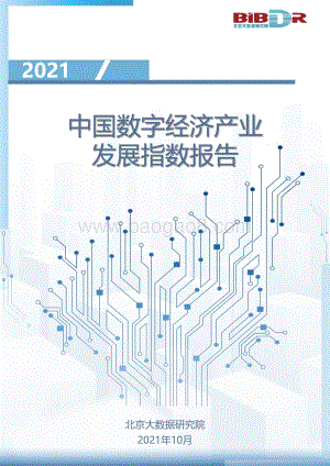2021中国数字经济产业发展指数报告.pdf