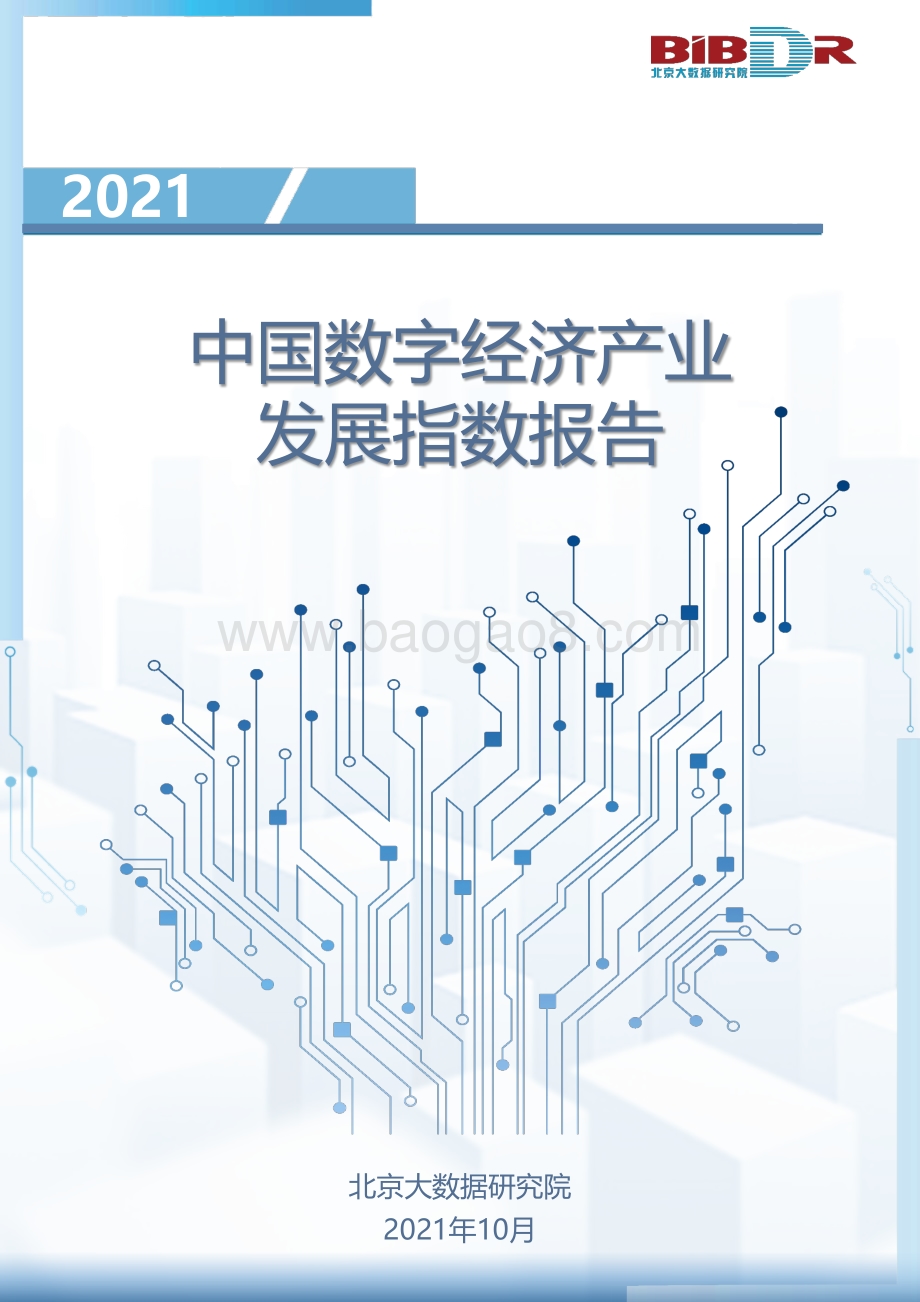 2021中国数字经济产业发展指数报告.pdf_第1页