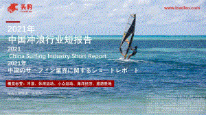 2021年中国冲浪行业短报告.pdf