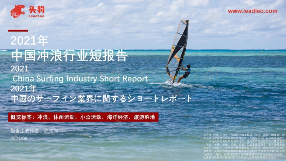 2021年中国冲浪行业短报告.pdf_第1页