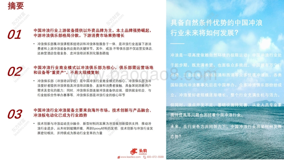 2021年中国冲浪行业短报告.pdf_第2页