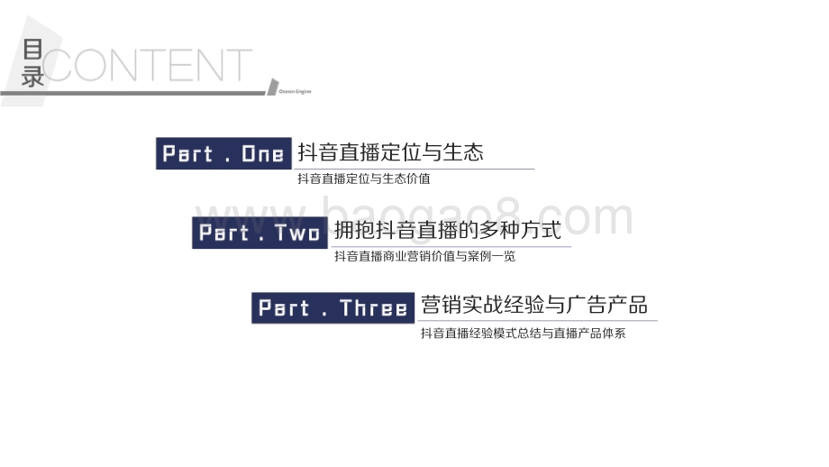 2020-2021抖音直播营销通案.pdf_第2页
