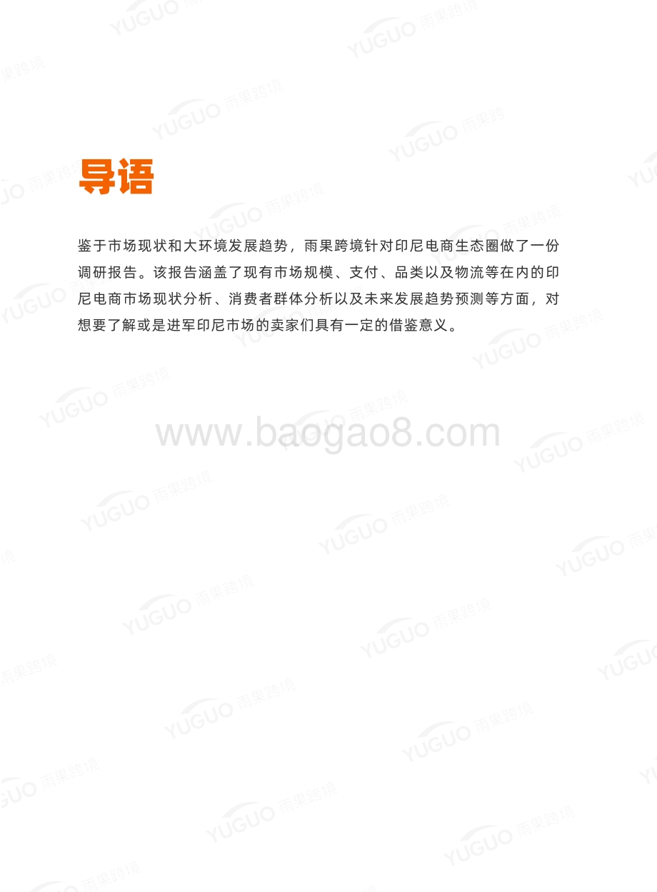 2021-2022东南亚跨境电商印度尼西亚市场调研报告.pdf_第2页
