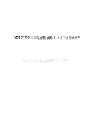 2021-2022东南亚跨境电商印度尼西亚市场调研报告.pdf